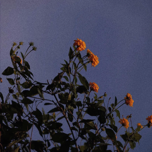 海角社区国产精伦91
